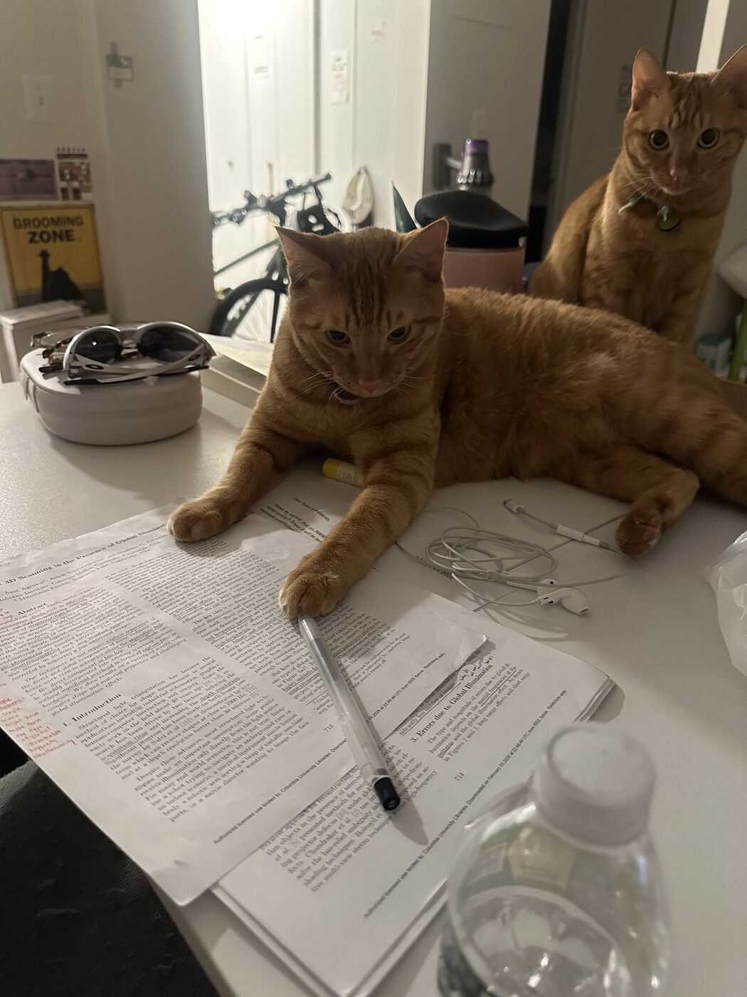 Two orange cats on a kitchen counter, one lying across a stack of papers
