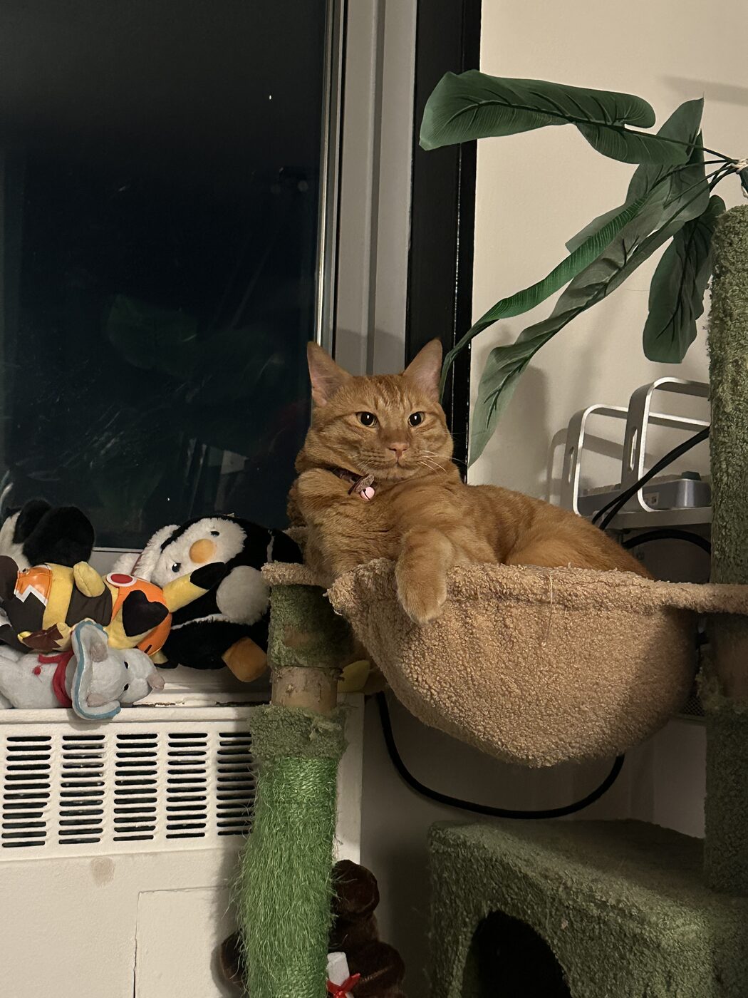 Orange cat sitting in a hammock on a cat tree, surrounded by stuffed animals