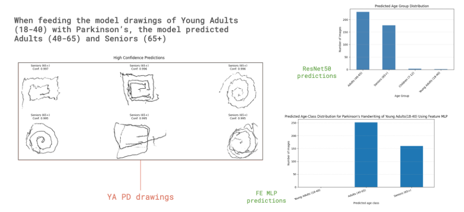 Predicted age-group distributions for Parkinson's handwriting drawings across model backbones