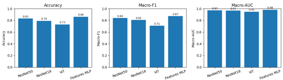 Accuracy, macro-F1, and macro-AUC comparison across ResNet50, ResNet18, ViT, and the feature-based MLP