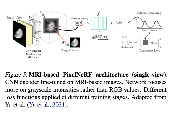 Diagram of the MRI-based PixelNeRF architecture